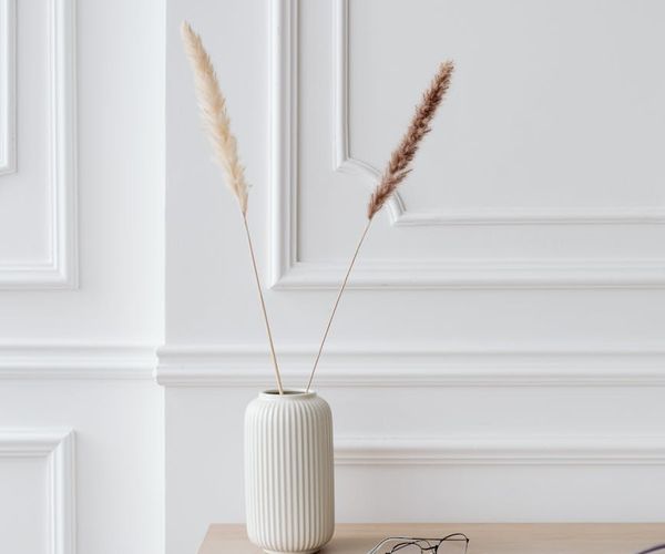 A calm and modern workspace with a plant and natural light.